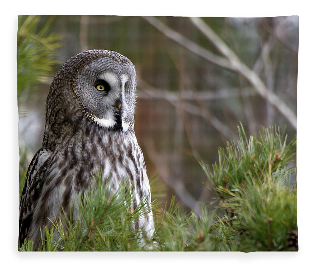 Great Gray Owl Fleece Blanket featuring the photograph The Great Grey Owl by Torbjorn Swenelius