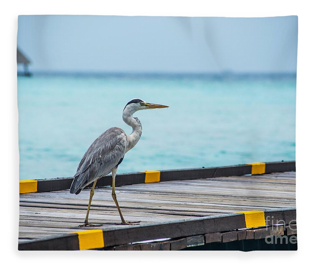 Animal Fleece Blanket featuring the photograph The Hereon by Hannes Cmarits