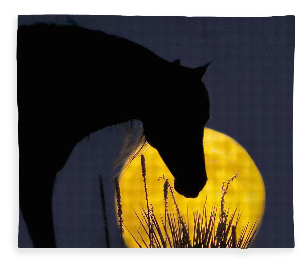 Moon Fleece Blanket featuring the photograph The Horse in the Moon by Dawn Key