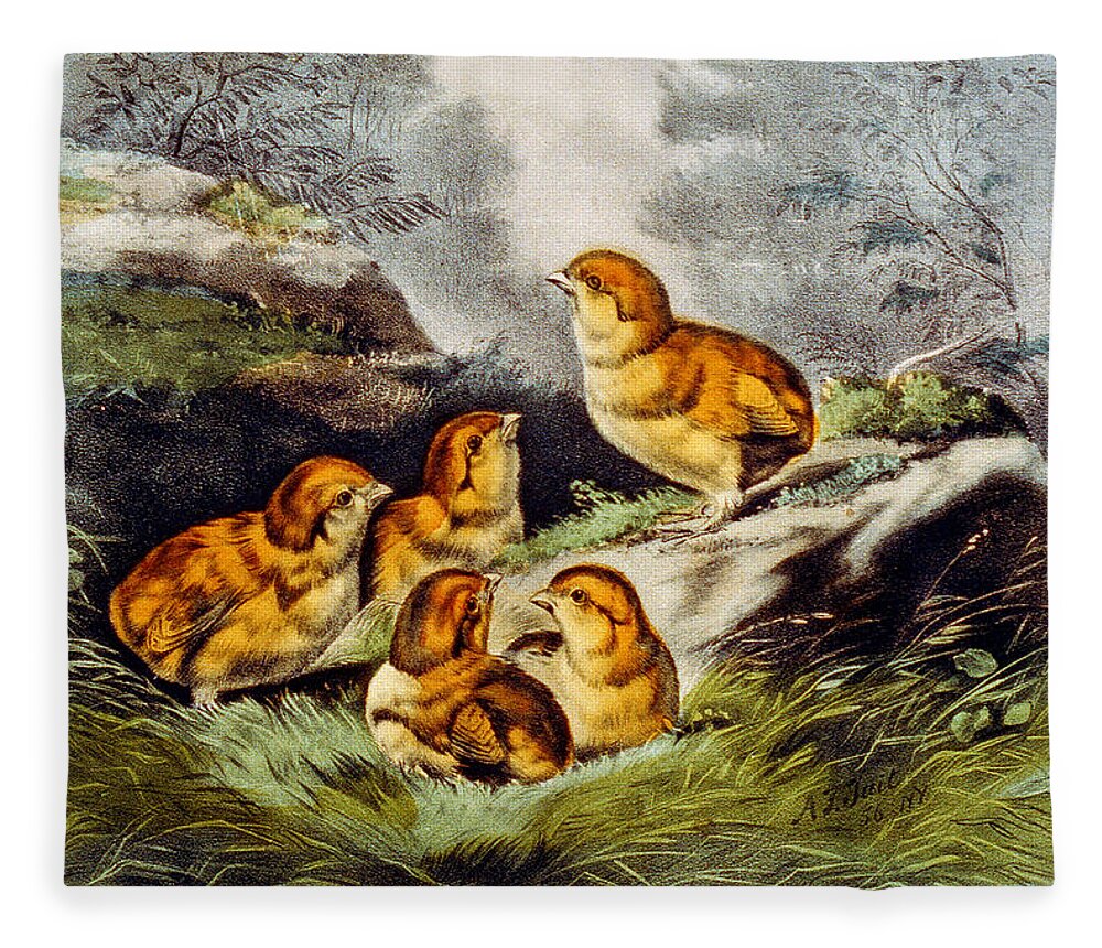The Infant Brood Fleece Blanket featuring the digital art The Infant Brood by Currier and Ives