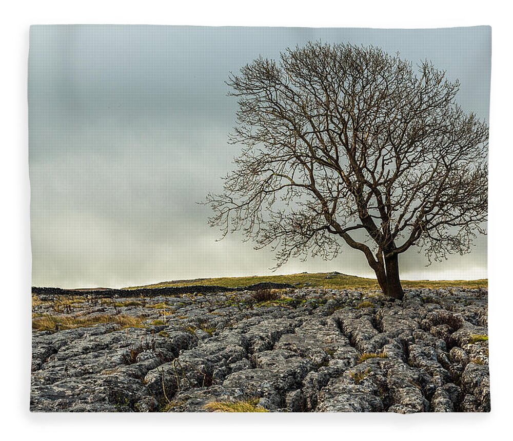 Tree Fleece Blanket featuring the photograph The lonely tree by Sue Leonard