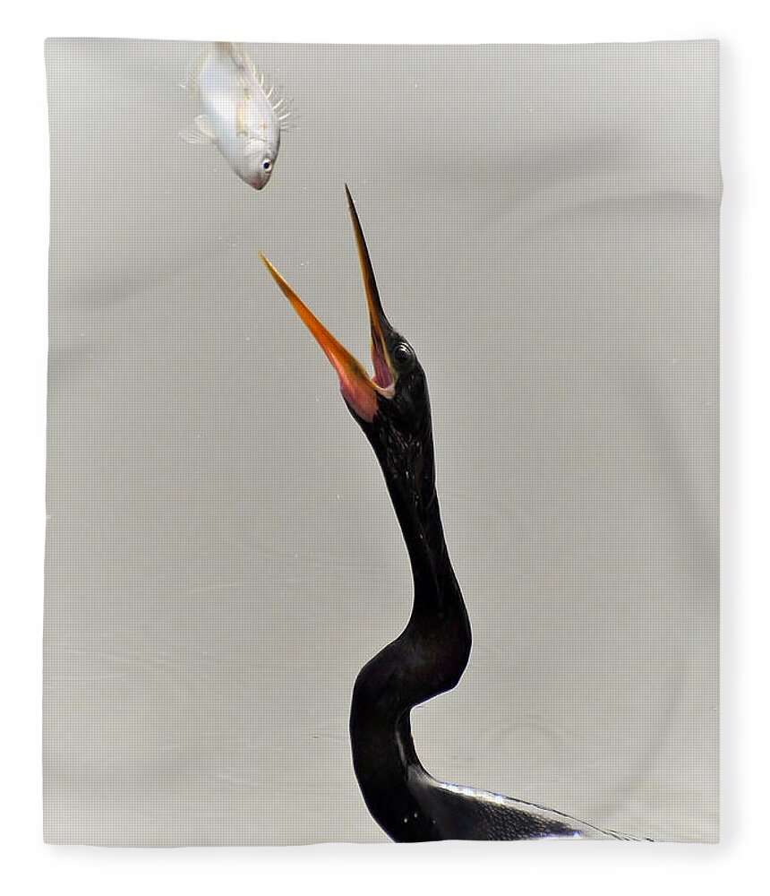 Anhinga Fleece Blanket featuring the photograph The Master Fisher by Kathy Baccari