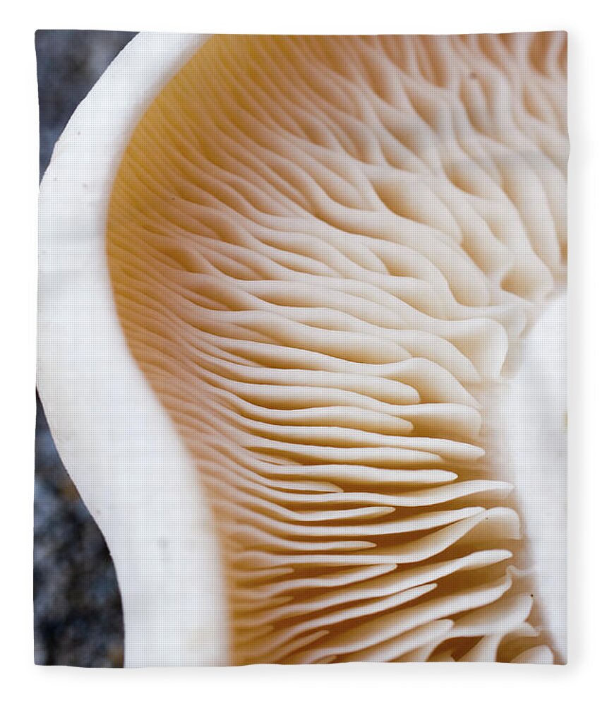 Edible Mushroom Fleece Blanket featuring the photograph The Mushroom Effect by Tim Green