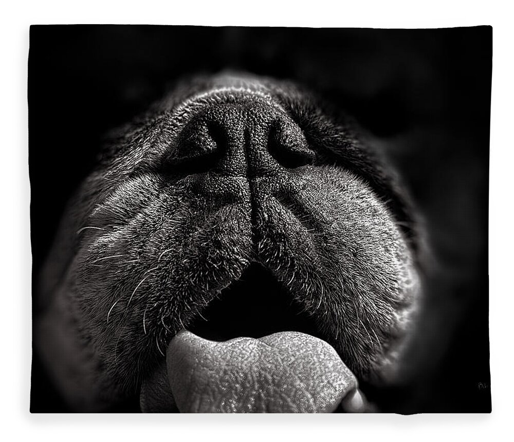 Dog Fleece Blanket featuring the photograph The Nose Knows by Bob Orsillo