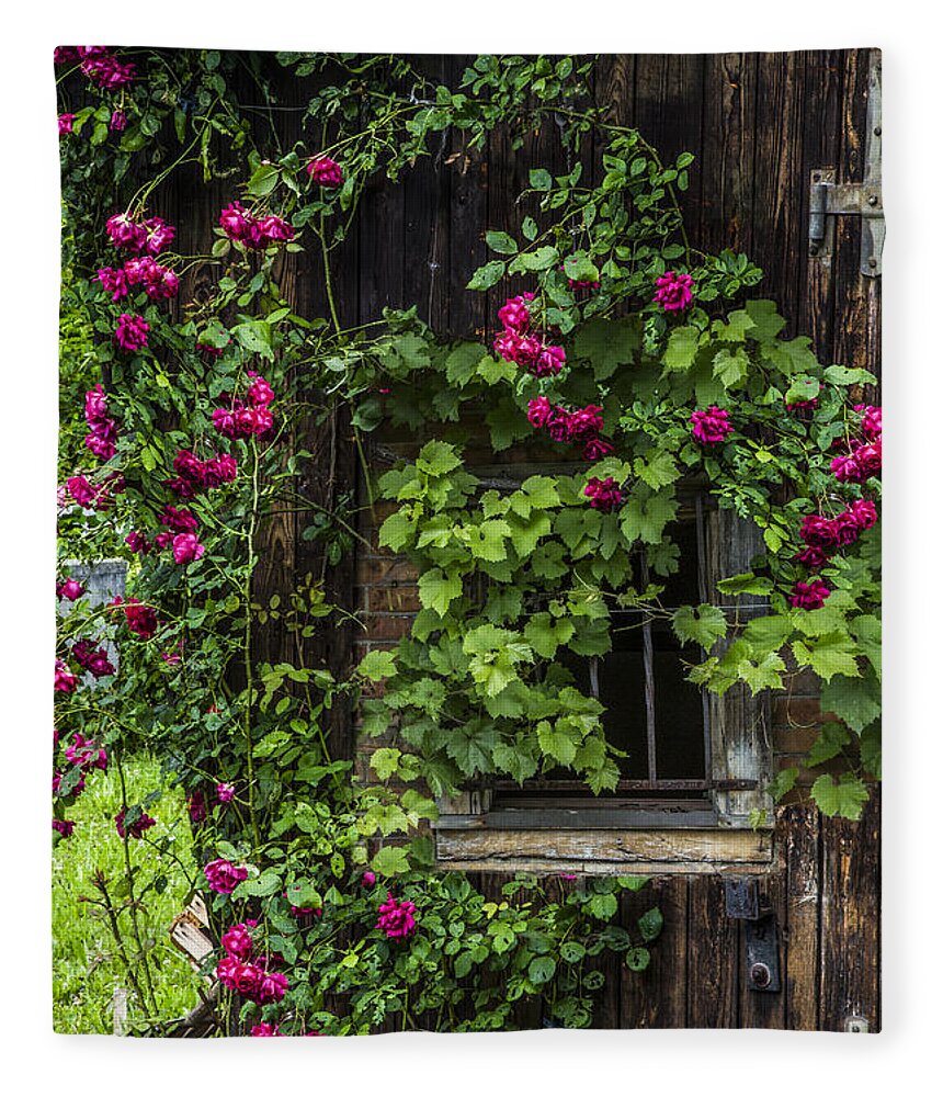 Austria Fleece Blanket featuring the photograph The Old Barn Window by Debra and Dave Vanderlaan