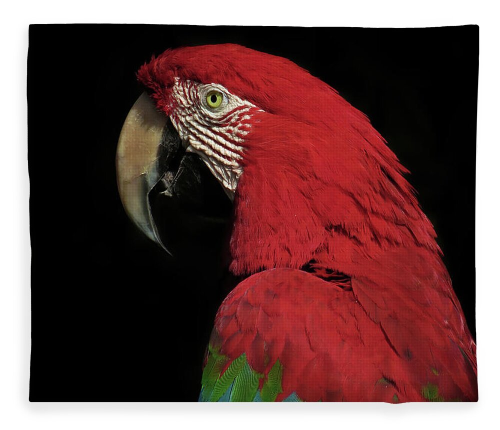 Macaw Fleece Blanket featuring the photograph The Thinker by Ferdinando Valverde