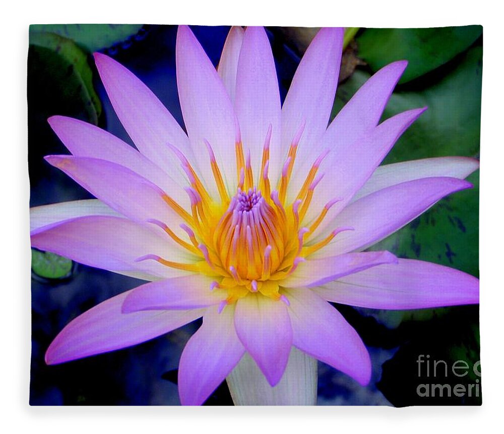 Water Lily Fleece Blanket featuring the photograph The Thousand Petaled Lily by Mary Deal