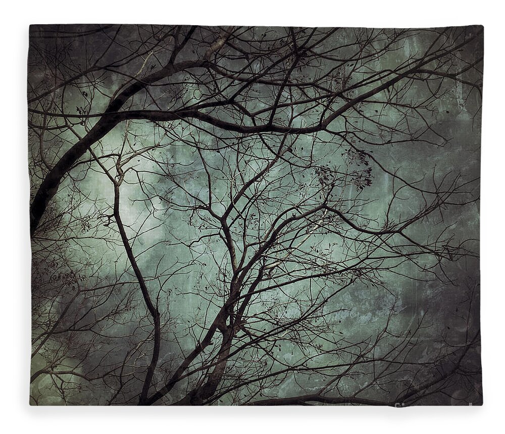 Photography Fleece Blanket featuring the photograph The Unknown by Ivy Ho