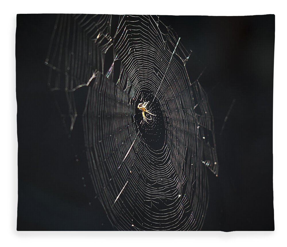Spider Web Fleece Blanket featuring the photograph The Web by Ron Roberts