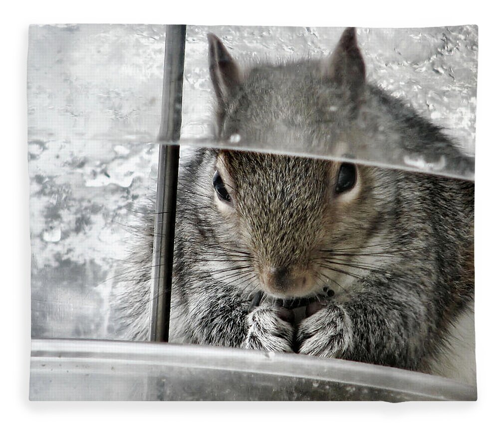 Squirrel Fleece Blanket featuring the photograph Thief In The Birdfeeder by Rory Siegel