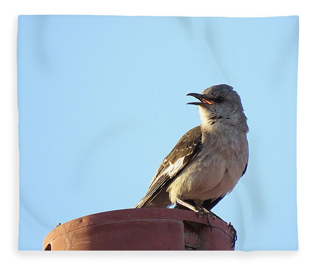 Mockingbird Fleece Blanket featuring the photograph This Spring's Mockingbird by Carl Deaville