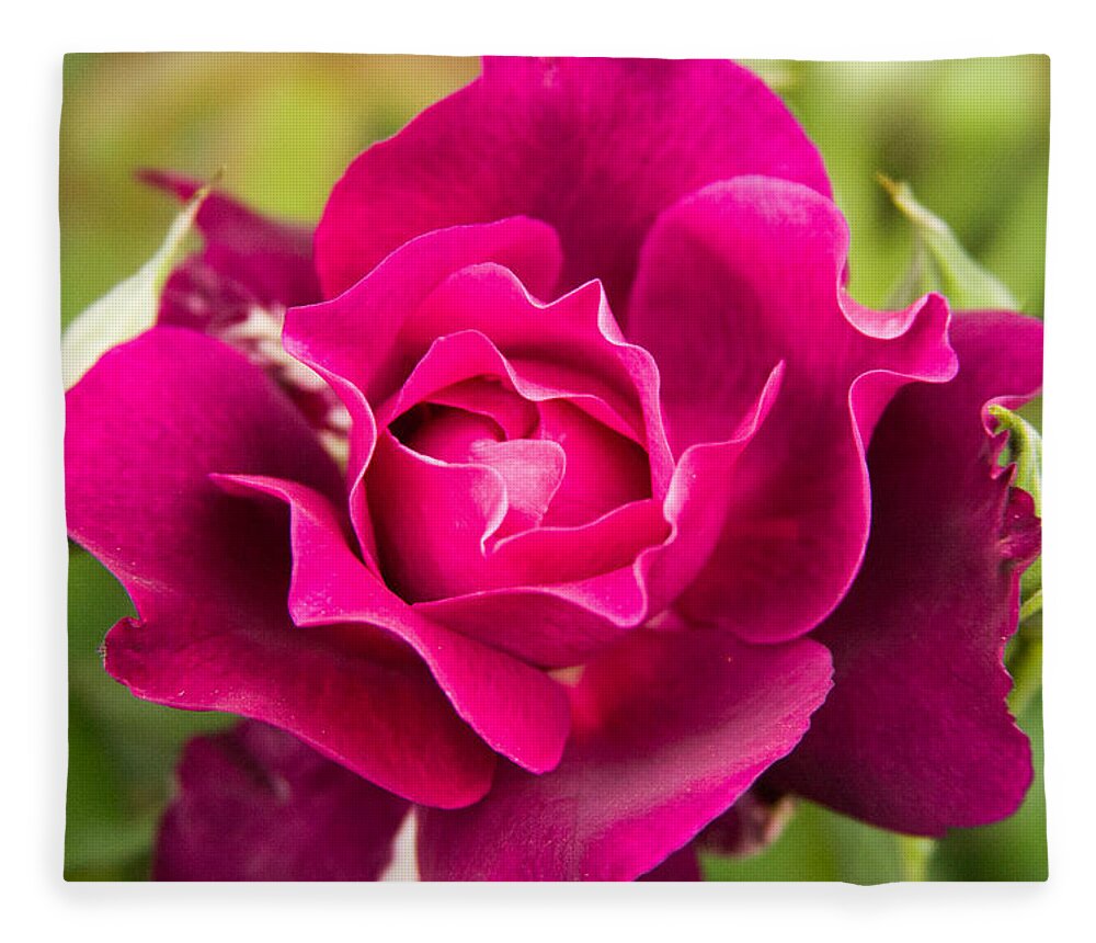 New England Fleece Blanket featuring the photograph Thorns have Roses by Jeff Folger