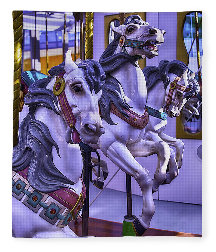 Magical Carousels Fleece Blanket featuring the photograph Three Wild Horses by Garry Gay