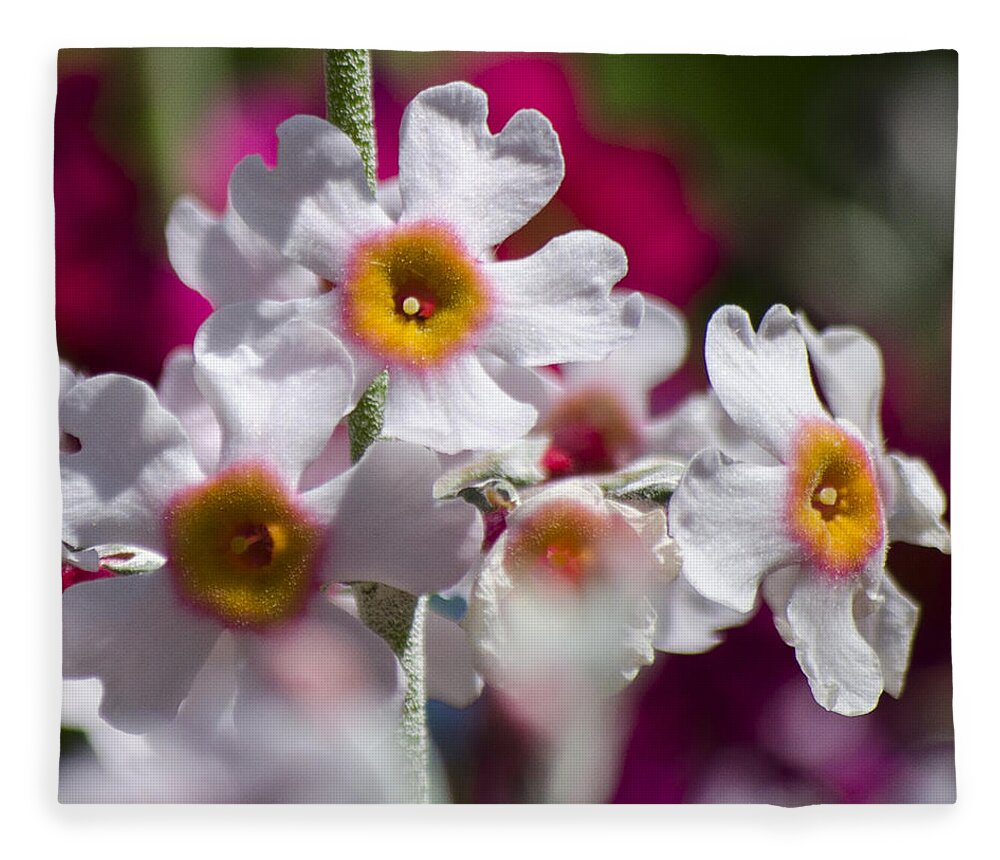 Flowers Fleece Blanket featuring the photograph Three Yellow Faces by Spikey Mouse Photography
