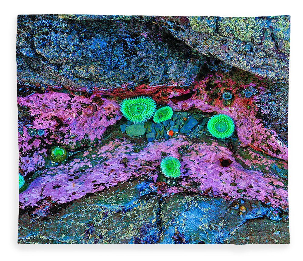 Anemone Fleece Blanket featuring the photograph Tide Pool Anemones by Greg Norrell