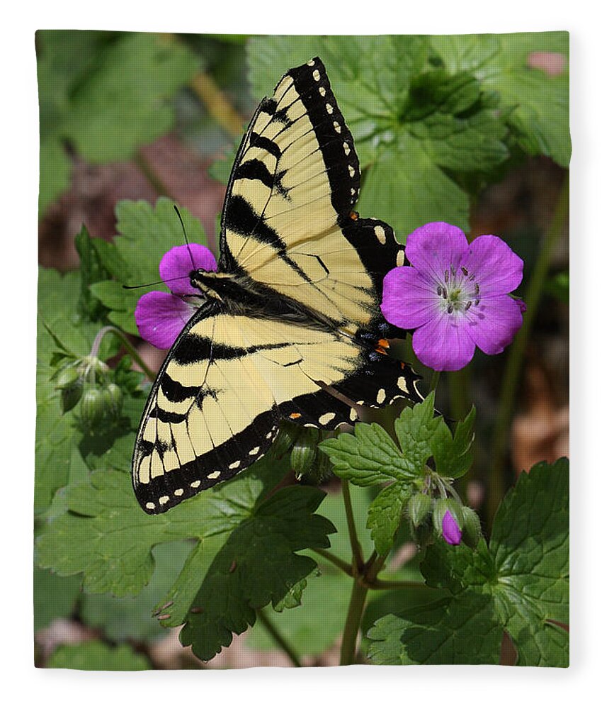 Tiger Swallowtail Butterfly On Geranium Fleece Blanket featuring the photograph Tiger Swallowtail Butterfly On Geranium by Daniel Reed