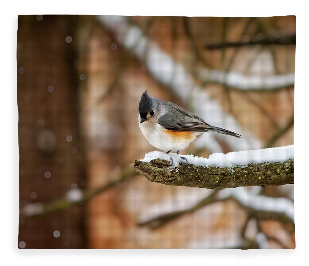 Michigan Fleece Blanket featuring the photograph Titmouse in Winter by Lars Lentz