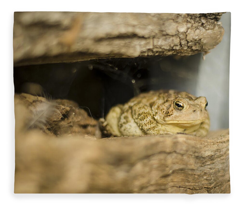 Toad Fleece Blanket featuring the photograph Toad in the Hole by Heather Applegate