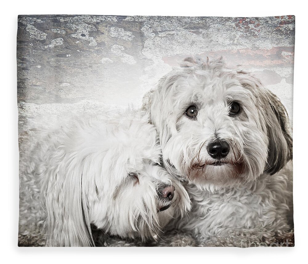 Dogs Fleece Blanket featuring the photograph Together by Elena Elisseeva