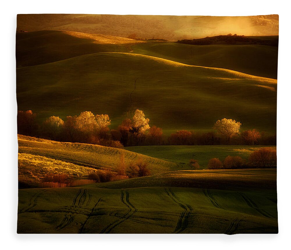 Toskany Fleece Blanket featuring the photograph Golden fields of val d'Orcia by Jaroslaw Blaminsky