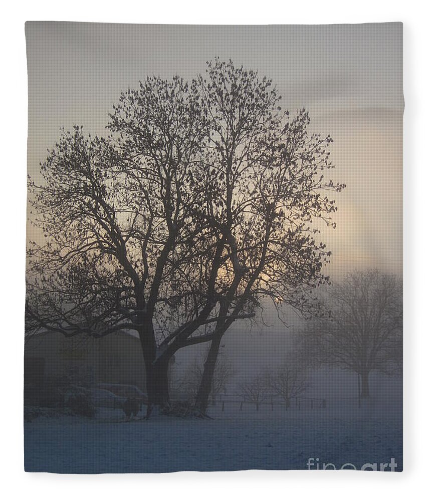 Tree Fleece Blanket featuring the photograph Tree in the foggy winter landscape by Amanda Mohler