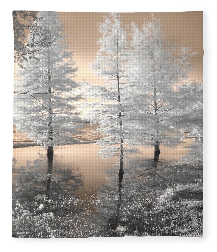 Tree Fleece Blanket featuring the photograph Tree Reflections by Jane Linders