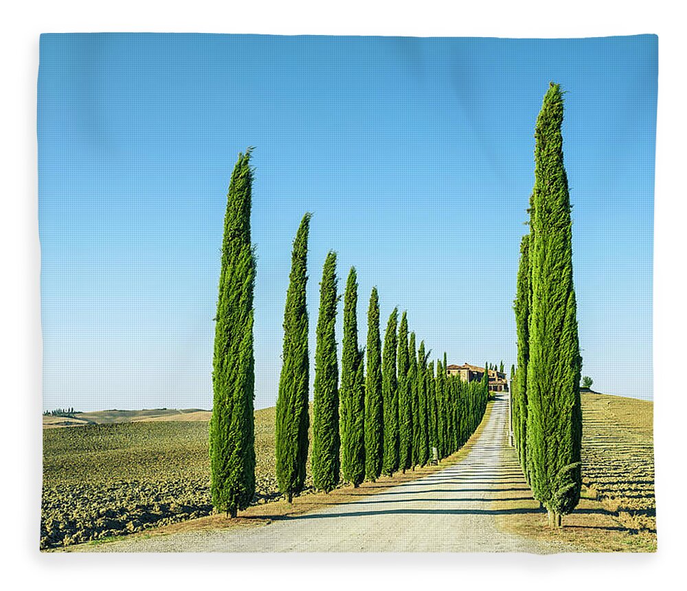 Long Fleece Blanket featuring the photograph Treelined Country Road In Val Dorcia by Cirano83