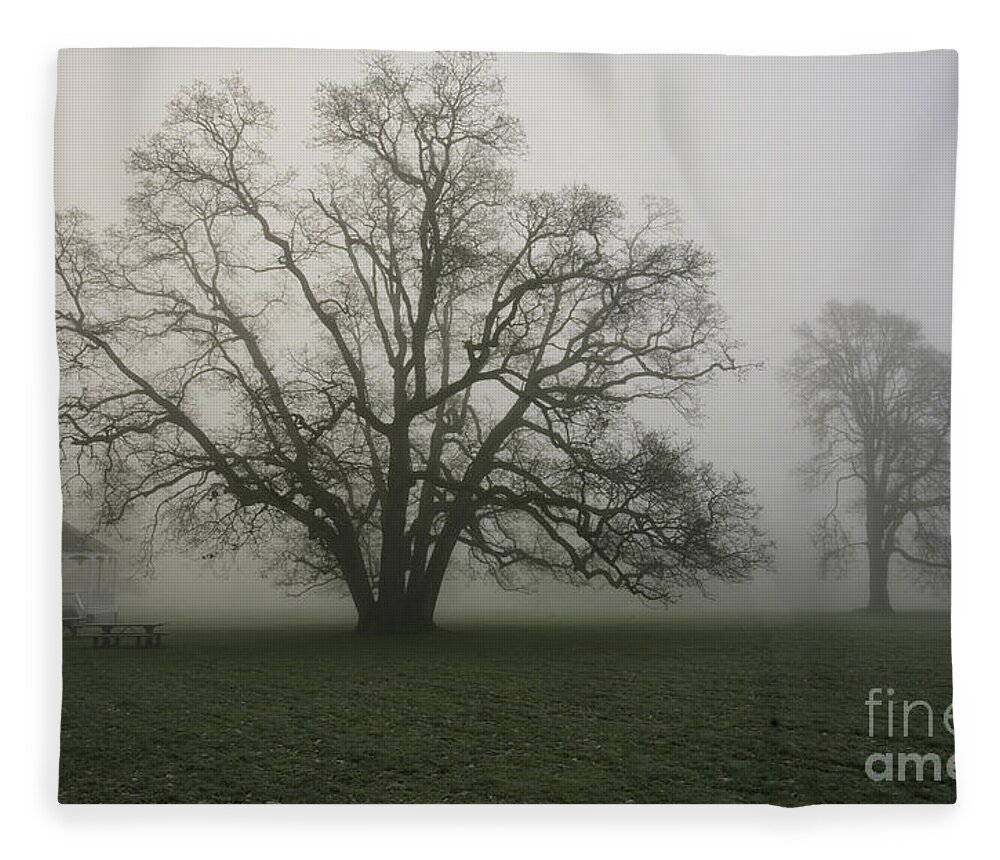 Tree Fleece Blanket featuring the photograph Trees in fog by Rich Collins