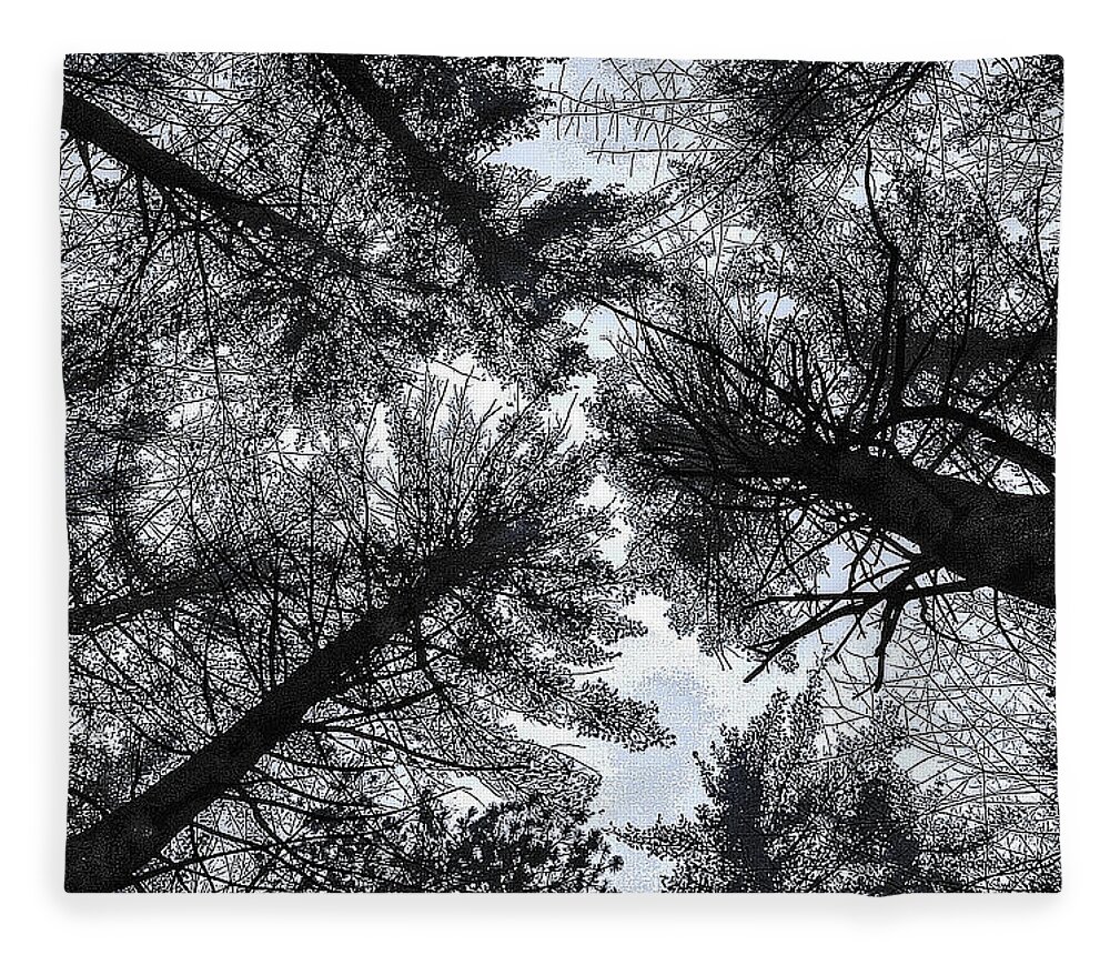 Tree Photographs Fleece Blanket featuring the photograph Trees in Winter by Phyllis Meinke