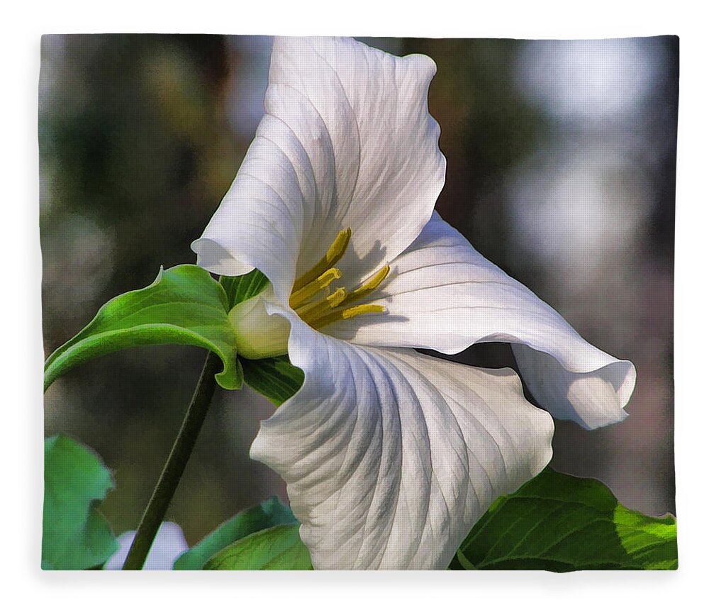 Trillium Fleece Blanket featuring the painting Trillium Purity by Christopher Arndt