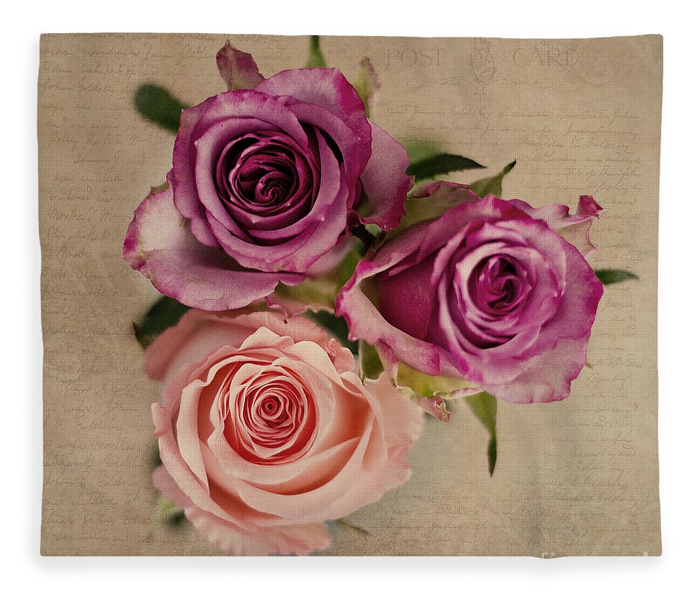 Photography Fleece Blanket featuring the photograph Trio of roses by Ivy Ho