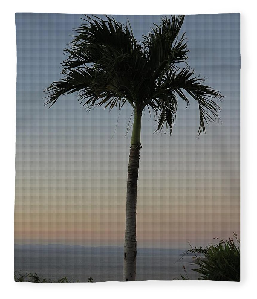 Palm Fleece Blanket featuring the photograph Tropical by Jessica Myscofski