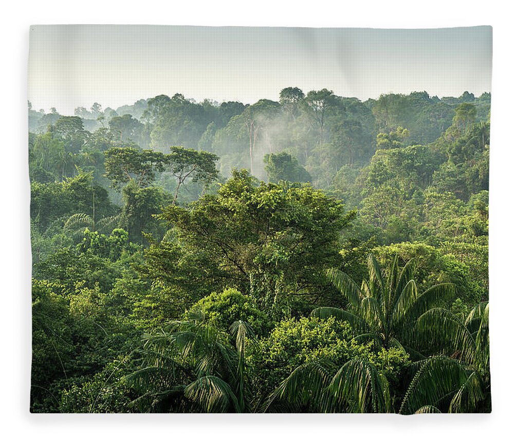 Scenics Fleece Blanket featuring the photograph Tropical Rainforest by Chanachai Panichpattanakij