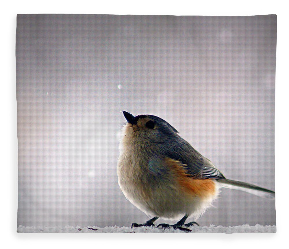 tufted Titmouse Fleece Blanket featuring the photograph Tufted Titmouse by Cricket Hackmann