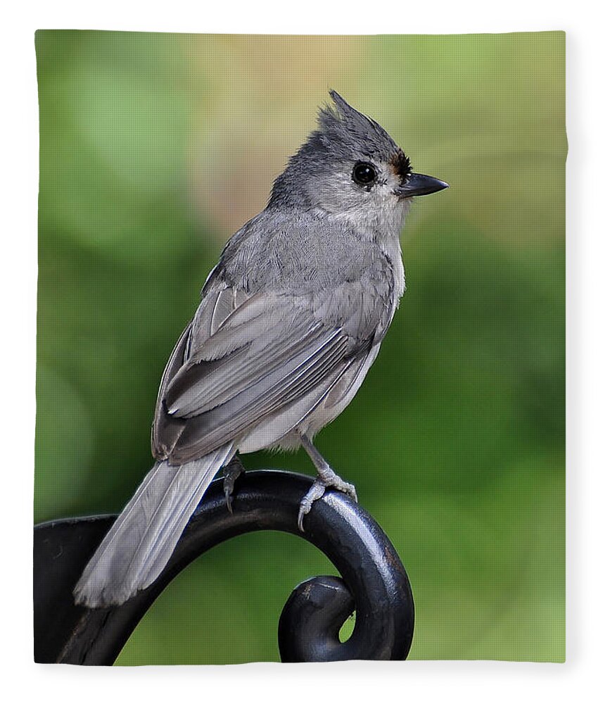 Birds Fleece Blanket featuring the photograph Tufted Titmouse by Kathy Baccari