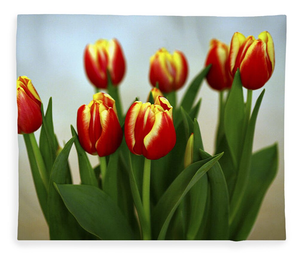 Tulip Fleece Blanket featuring the photograph Tulip Arrangement by Marilyn Hunt