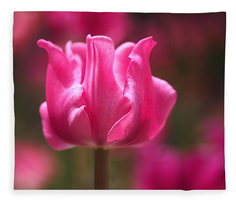 Tulip Fleece Blanket featuring the photograph Tulip at Attention by Rona Black