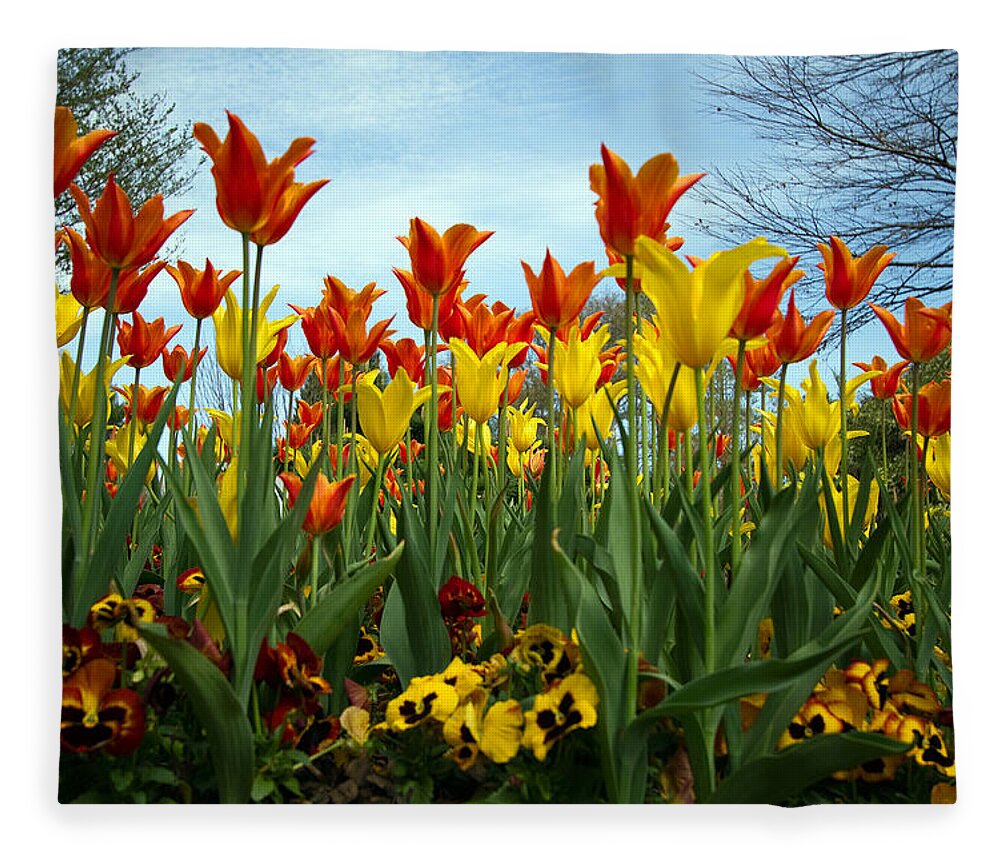 Flowers Fleece Blanket featuring the photograph Tulip Time by Farol Tomson
