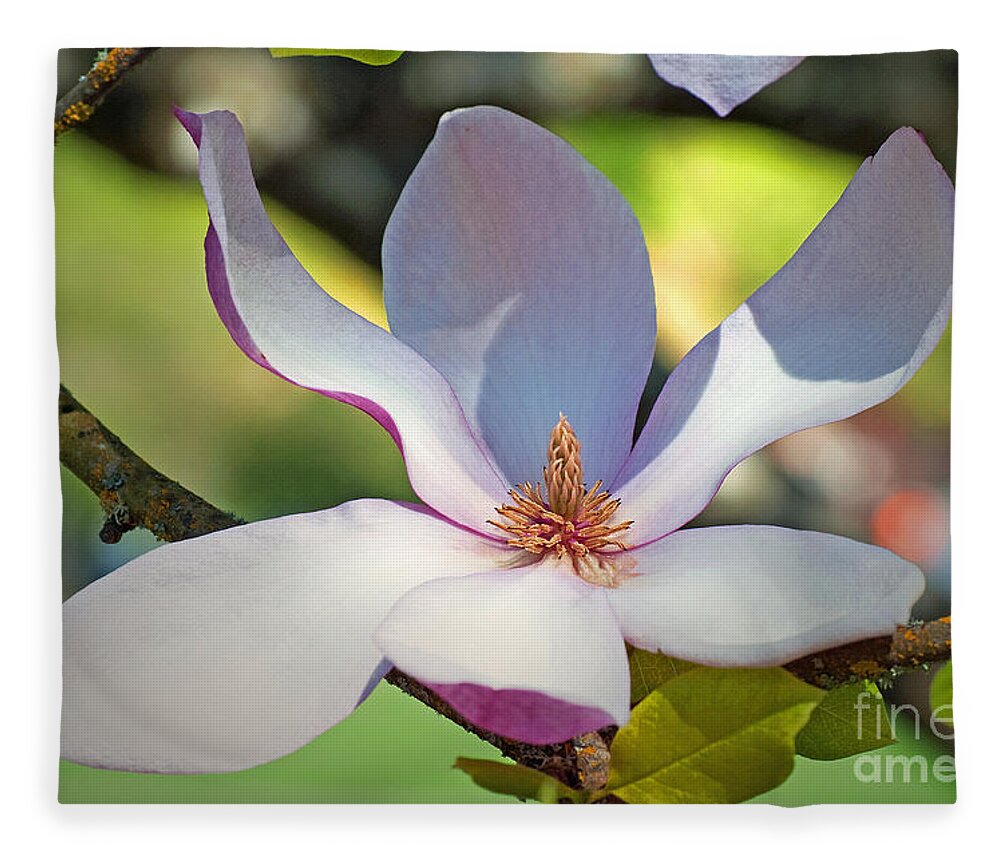 Tulip Tree Flower Magnolia Pink White Yellow Green Branch Nature Beauty Delicate Petal Petals Leaves Spring Bloom Oregon Gwyn Newcombe Fleece Blanket featuring the photograph Tulip Tree Bloom by Gwyn Newcombe