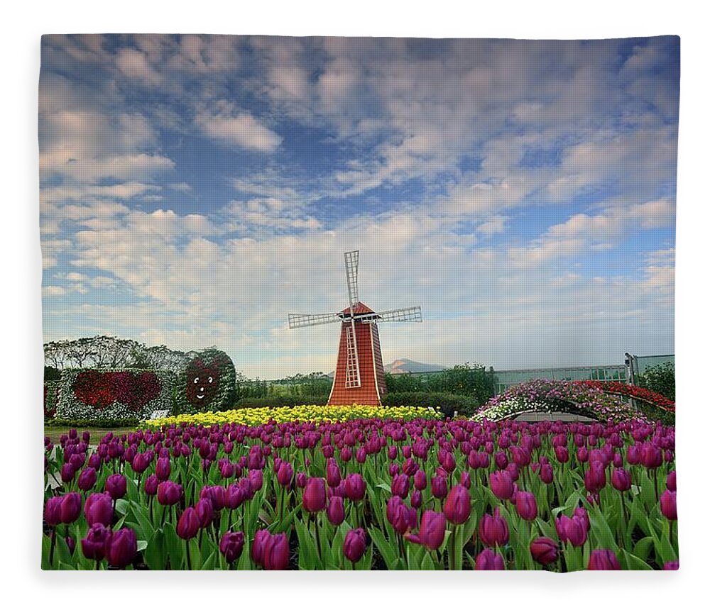 Tranquility Fleece Blanket featuring the photograph Tulips Field And Windmill by Photo By Vincent Ting