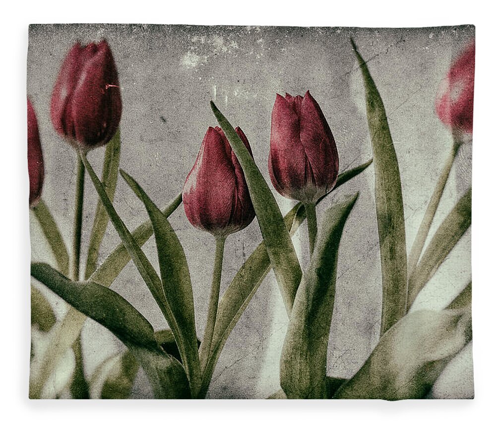 Tulip Fleece Blanket featuring the photograph Tulips by Nigel R Bell