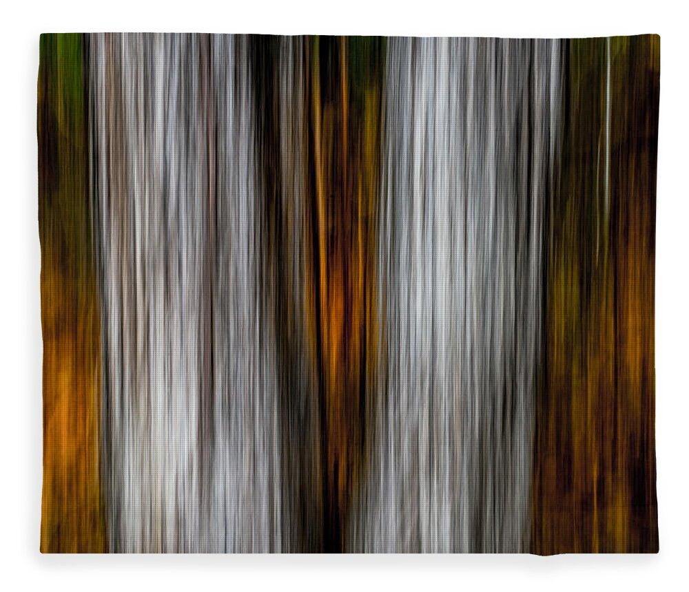 Abstracts Fleece Blanket featuring the photograph Twin trunks by Darryl Dalton