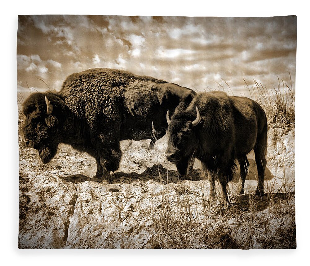 Photograph Fleece Blanket featuring the photograph Two Buffalo by Richard Gehlbach