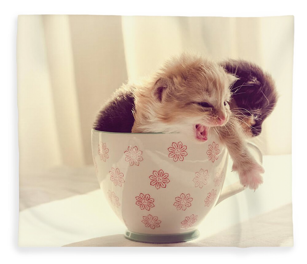 Two Fleece Blanket featuring the photograph Two Cute Kittens in a Cup by Spikey Mouse Photography