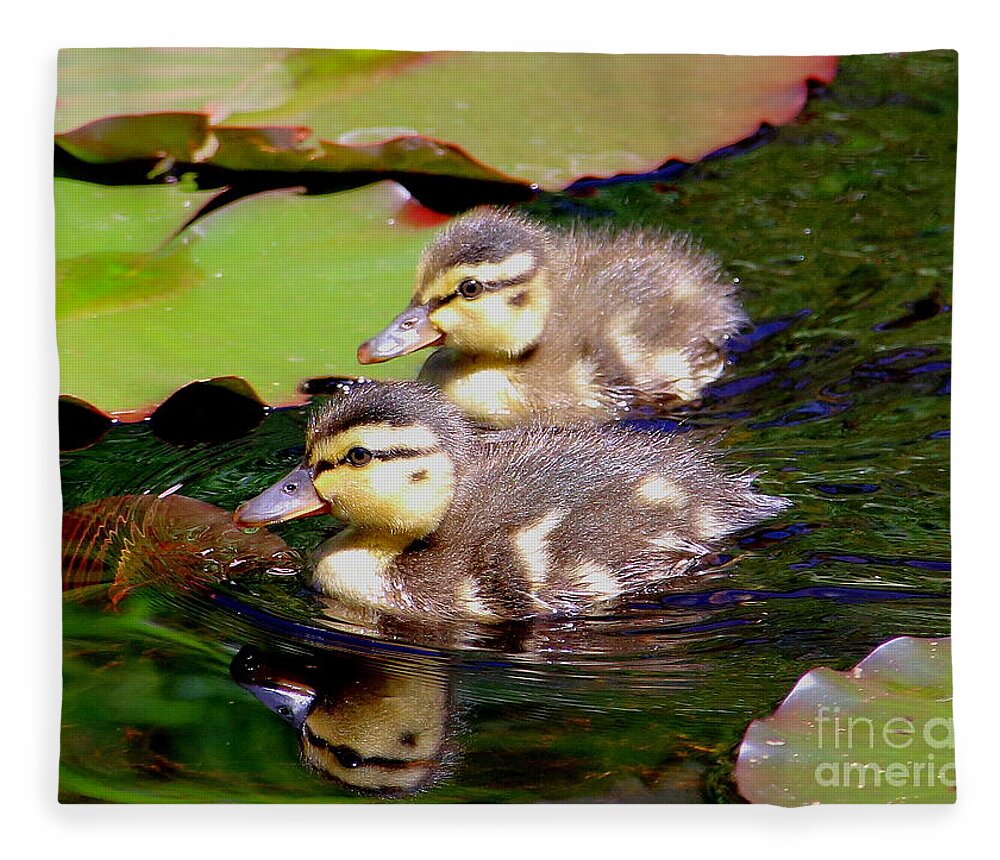 Ducklings Fleece Blanket featuring the photograph Two Ducklings by Amanda Mohler