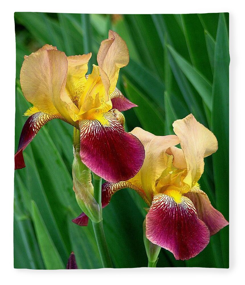 Fine Art Fleece Blanket featuring the photograph Two Iris by Rodney Lee Williams