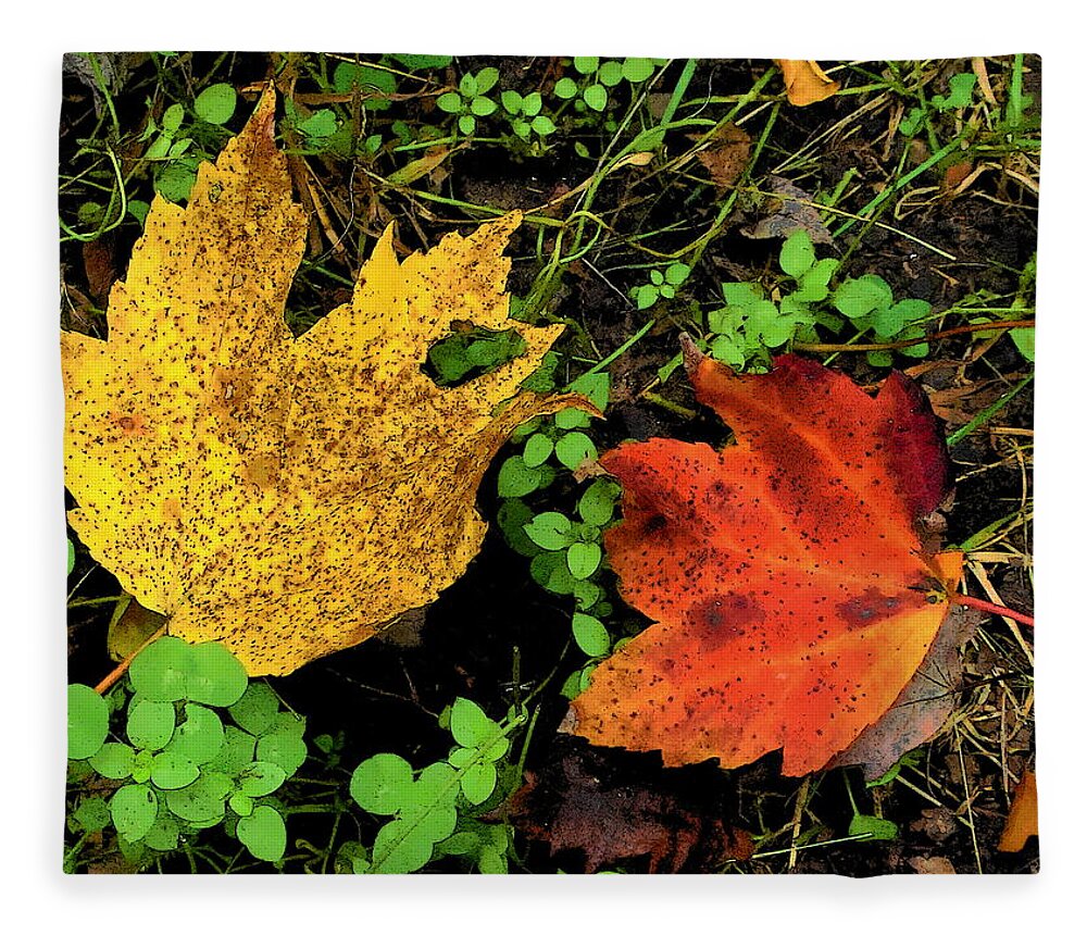 Fine Art Fleece Blanket featuring the photograph Two Leaves by Rodney Lee Williams