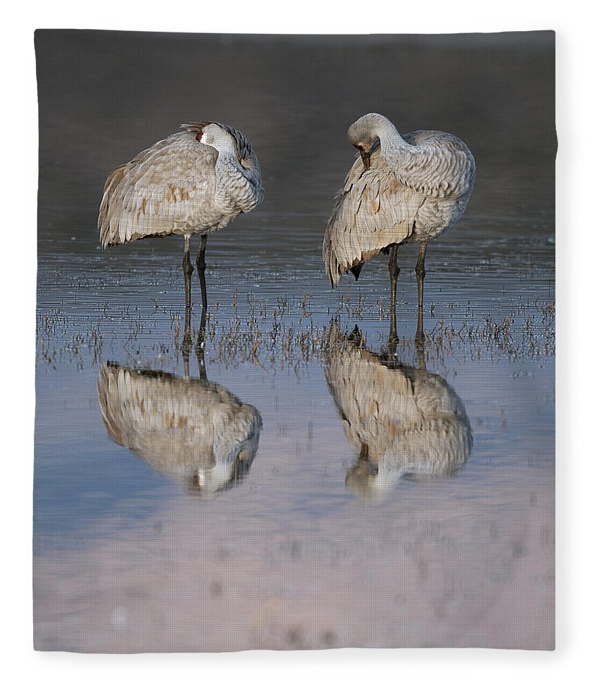 Sandhill Crane Fleece Blanket featuring the photograph Two Sandhill Crane at sunrise by Gary Langley