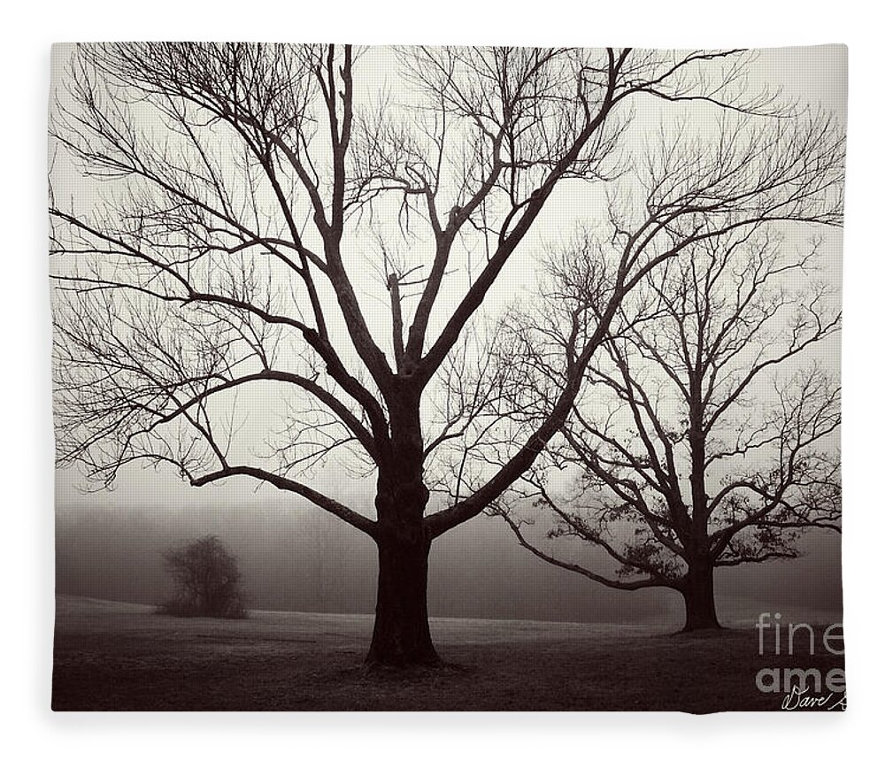 Trees Fleece Blanket featuring the photograph Two Trees by David Gordon