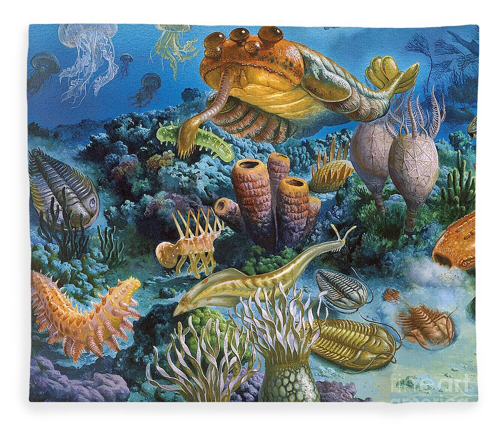 Illustration Fleece Blanket featuring the photograph Underwater Paleozoic Landscape by Publiphoto